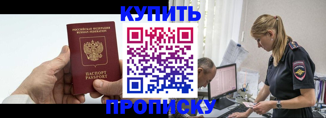 прописка поиск в Павловске
